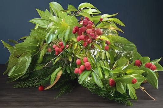 3 Gallon Brewster Lychee Tree - Litchi chinensis - Live Plant with Pot and Soil, Perfect for Gardens and Ornamental Use
