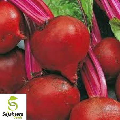 Detroit Dark Red Beet Seeds - 250+ Heirloom, Organic, Non-GMO & Sweet