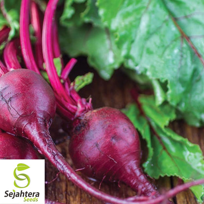 50 Lutz Green Leaf Red Stem Beet Seeds - Heirloom, Non-GMO, Winterkeeper Variety