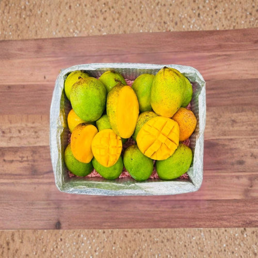 Coconut Cream Mango Tree – Mangifera indica ‘Coconut Cream’ Live Grafted Tree | Approx. 4 Feet Tall | Premium Tropical Variety  Creamy Coconut Flavor | Mid–Late Season | Collector Favorite