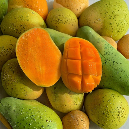 Madame Francis Mango Tree – Mangifera indica Grafted Live Tree | 2–4 Feet Tall | Premium Haitian Variety  Sweet Dessert Flavor | Juicy & Aromatic | Ships to All States