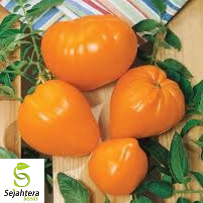Orange Oxheart Tomato Seeds - 30+ Heirloom, Organic, Non-GMO & Rare