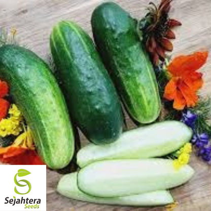 Double Yield Cucumber Seeds - 200+ Heirloom, Organic, Non-GMO & Fresh
