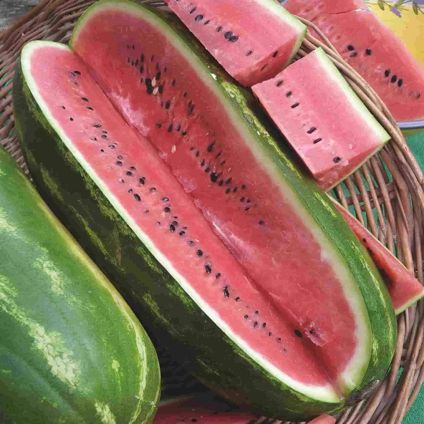 Jubilee Watermelon Vegetable Citrullus lanatus 1 gram Seeds For Planting