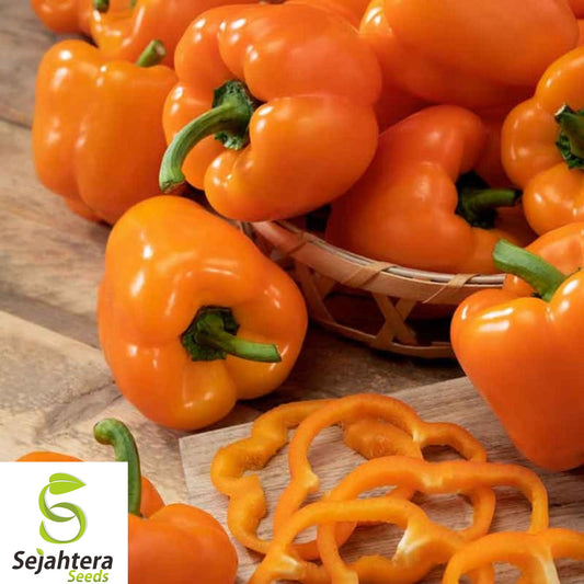 10+ Orange King Bell Pepper Seeds - Heirloom, Organic, Non-GMO, Sweet & Crisp