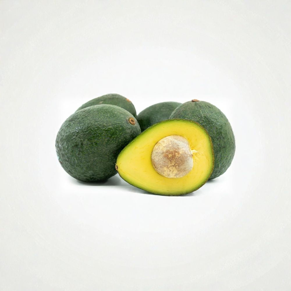 Grafted Reed Avocado Tree – Persea americana  Live Grafted Fruit Tree | 10 Inches – 2 Feet Tall Premium Avocado Variety • Healthy Live Plant