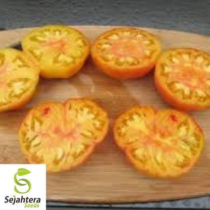 Hillbilly Tomato Seeds - 30+ Organic Heirloom - Sweet & Juicy - Non-GMO - Rare