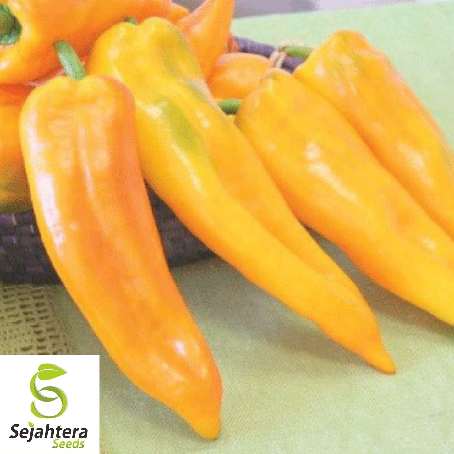 Corno di Toro Giallo Pepper Seeds 30+ | Yellow Italian Sweet Pepper USA