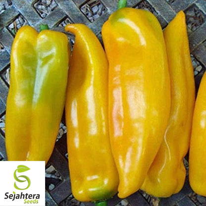 Corno di Toro Giallo Pepper Seeds 30+ | Yellow Italian Sweet Pepper USA