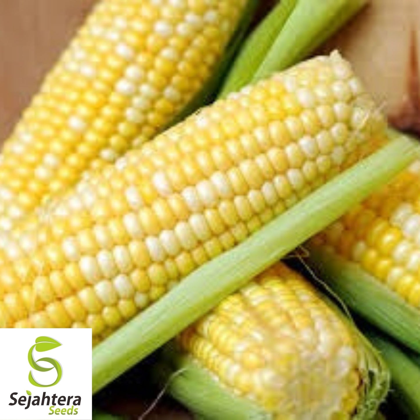 Peaches and Cream Corn Seeds 25 Ct | Sweet Vegetable Garden NON-GMO USA