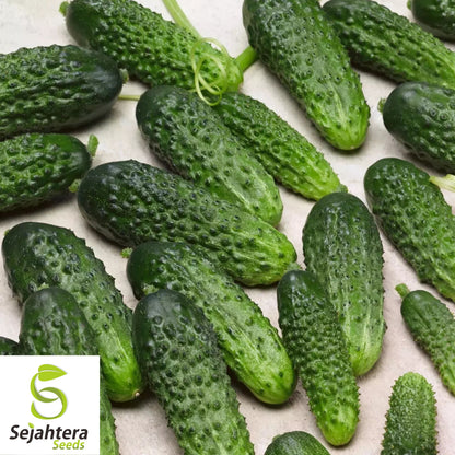 Parisian Gherkin Cucumber Seeds - 120+ Heirloom - Crisp, Organic & Fresh