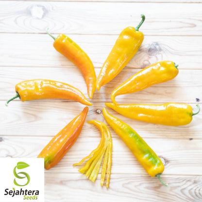 Corno di Toro Giallo Pepper Seeds 30+ | Yellow Italian Sweet Pepper USA