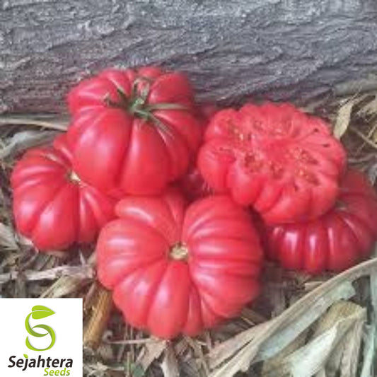 10+ Mushroom Basket Tomato Seeds - Heirloom, Organic, Non-GMO, Rare & Ribbed Variety
