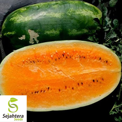 Tendersweet Orange Watermelon Seeds - 50+ Heirloom, Non-GMO, Sweet & Juicy