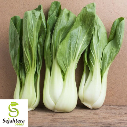 Pak Choi Extra Dwarf White Stem Seeds - 400+ Heirloom - Rare & Non-GMO