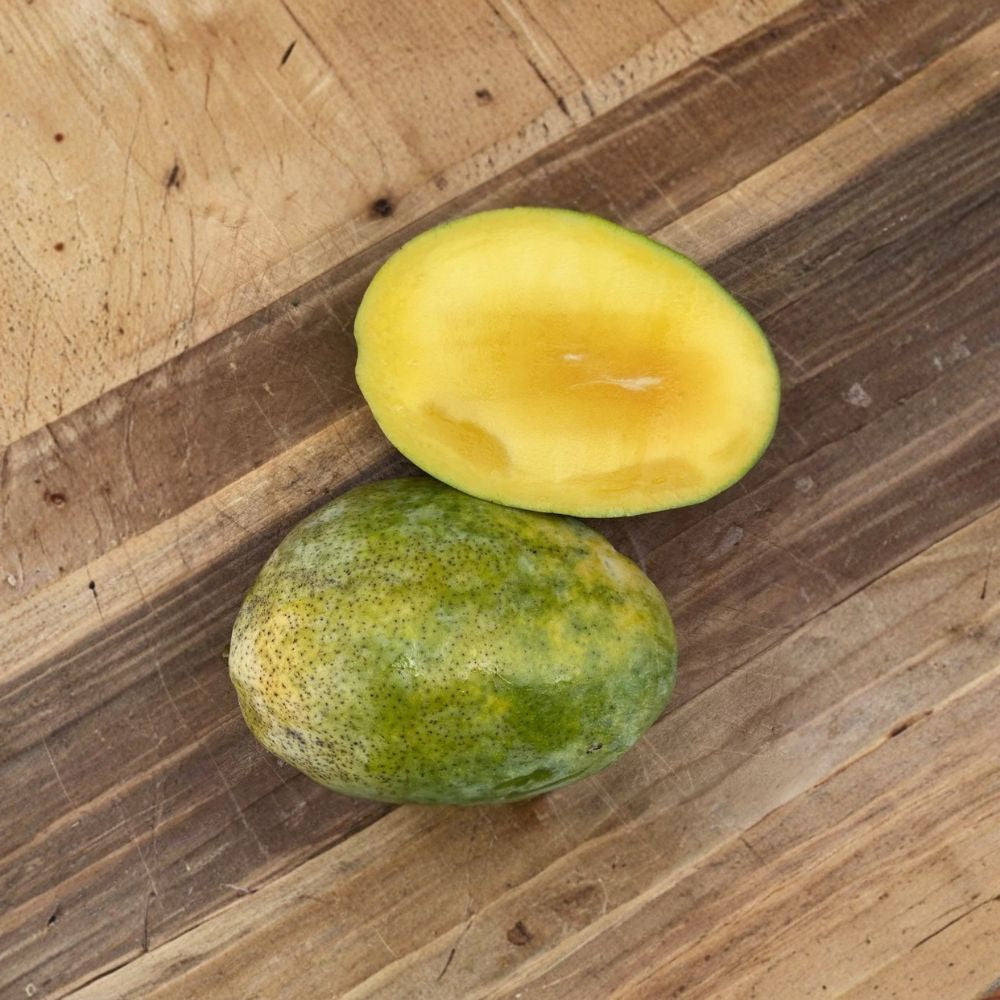 Pineapple Pleasure Mango Tree – Mangifera indica Grafted Live Tree | 2–4 Feet Tall | Rare Tropical Variety  Ultra-Sweet Pineapple Flavor | Fiberless & Juicy | Ships to All States