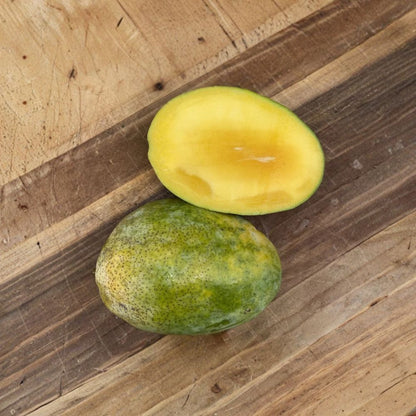 Pineapple Pleasure Mango Tree – Mangifera indica Grafted Live Tree | 2–4 Feet Tall | Rare Tropical Variety  Ultra-Sweet Pineapple Flavor | Fiberless & Juicy | Ships to All States