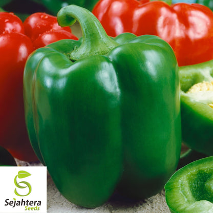 25 Keystone Giant Sweet Pepper Seeds - Non-GMO, Large & Crisp Bell Peppers