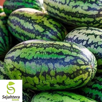 Congo Watermelon Seeds 25 Ct | 35-50 lb Sweet Fruit NON-GMO USA
