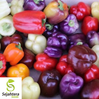 Rainbow Bell Pepper Seeds - 120+ Heirloom Mix - 7 Colors - Organic & Non-GMO
