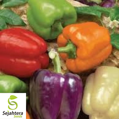 Rainbow Bell Pepper Seeds - 120+ Heirloom Mix - 7 Colors - Organic & Non-GMO
