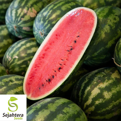 Congo Watermelon Seeds 25 Ct | 35-50 lb Sweet Fruit NON-GMO USA