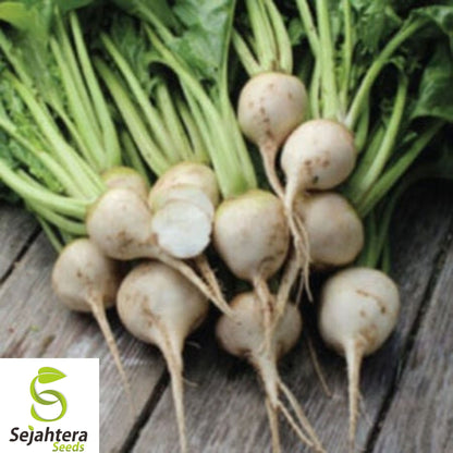 White Albino Beet Seeds – Organic Heirloom, Non-GMO, Fresh for Planting