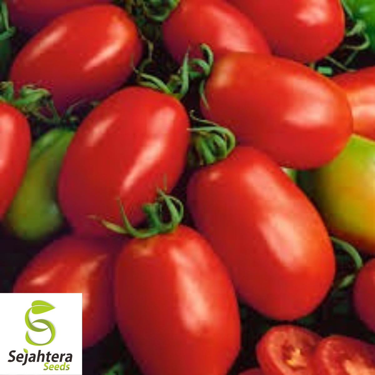 Napoli Tomato Seeds - 120+ Heirloom - Organic, Non-GMO & Fresh