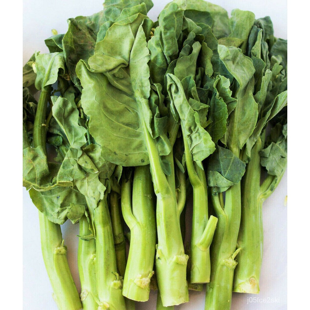 Chinese Broccoli, Wan Shen Kailaan 500 mg Seeds For Planting