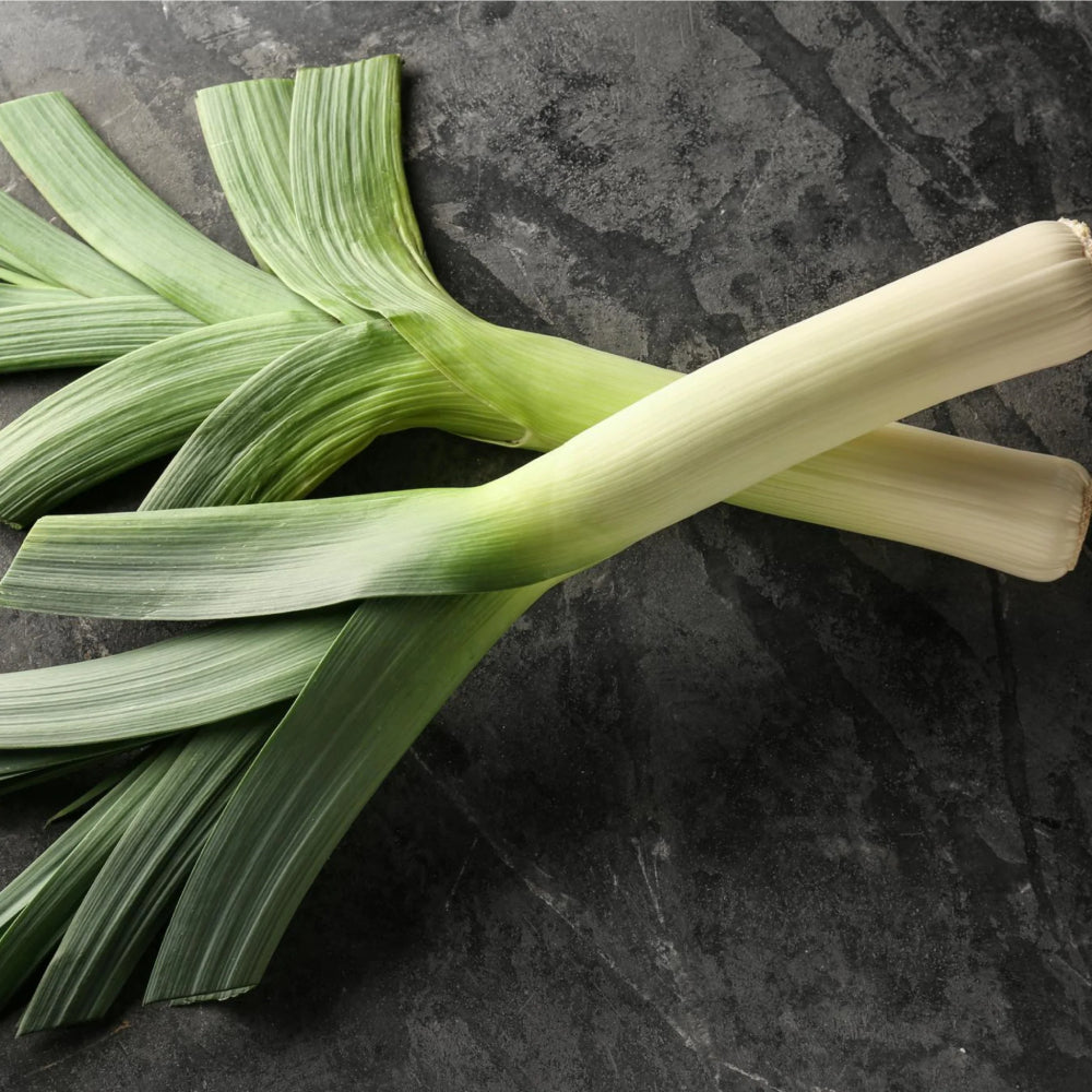 American Flag Leek