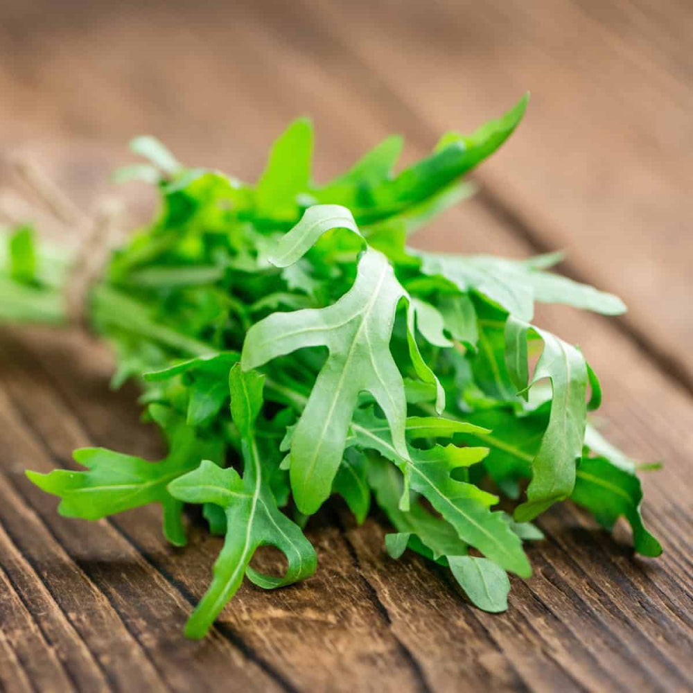 Arugula