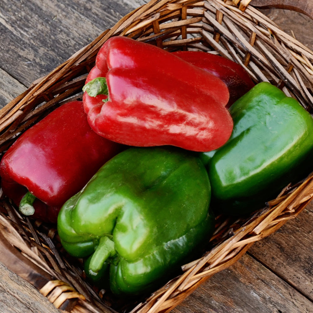 California Wonder 300 Sweet Bellpepper