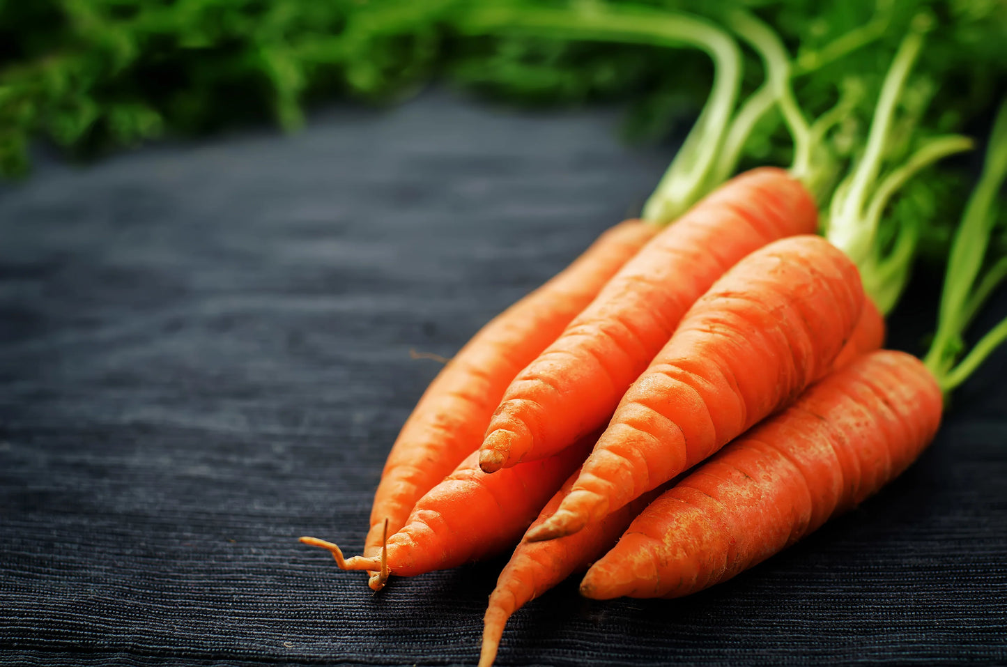 Carrot Scarlet Nantes 600 Seeds For Planting