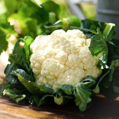 Cauliflower Snowball Y Improved