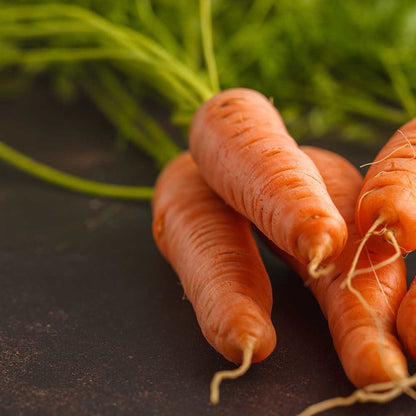 Chantenay Red Cored Carrot