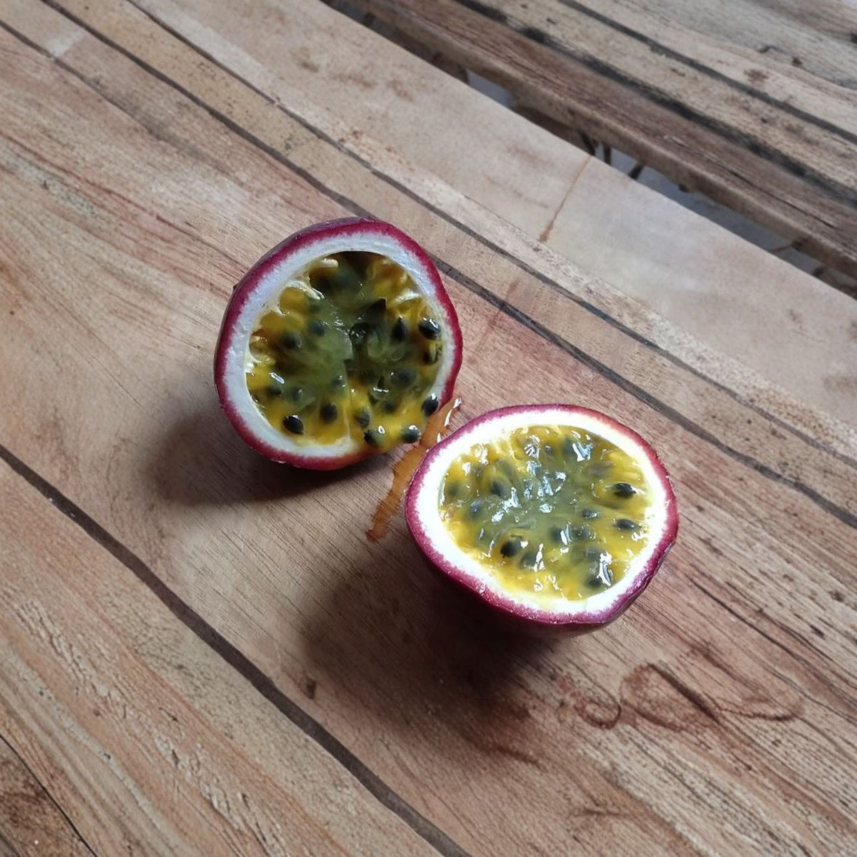Red Rover Passion Fruit Live Vine, Passiflora Edulis, 1–2 Ft Tall, 6 Inch Pot, Sweet Tangy Edible Fruit, Purple Flowering Climber