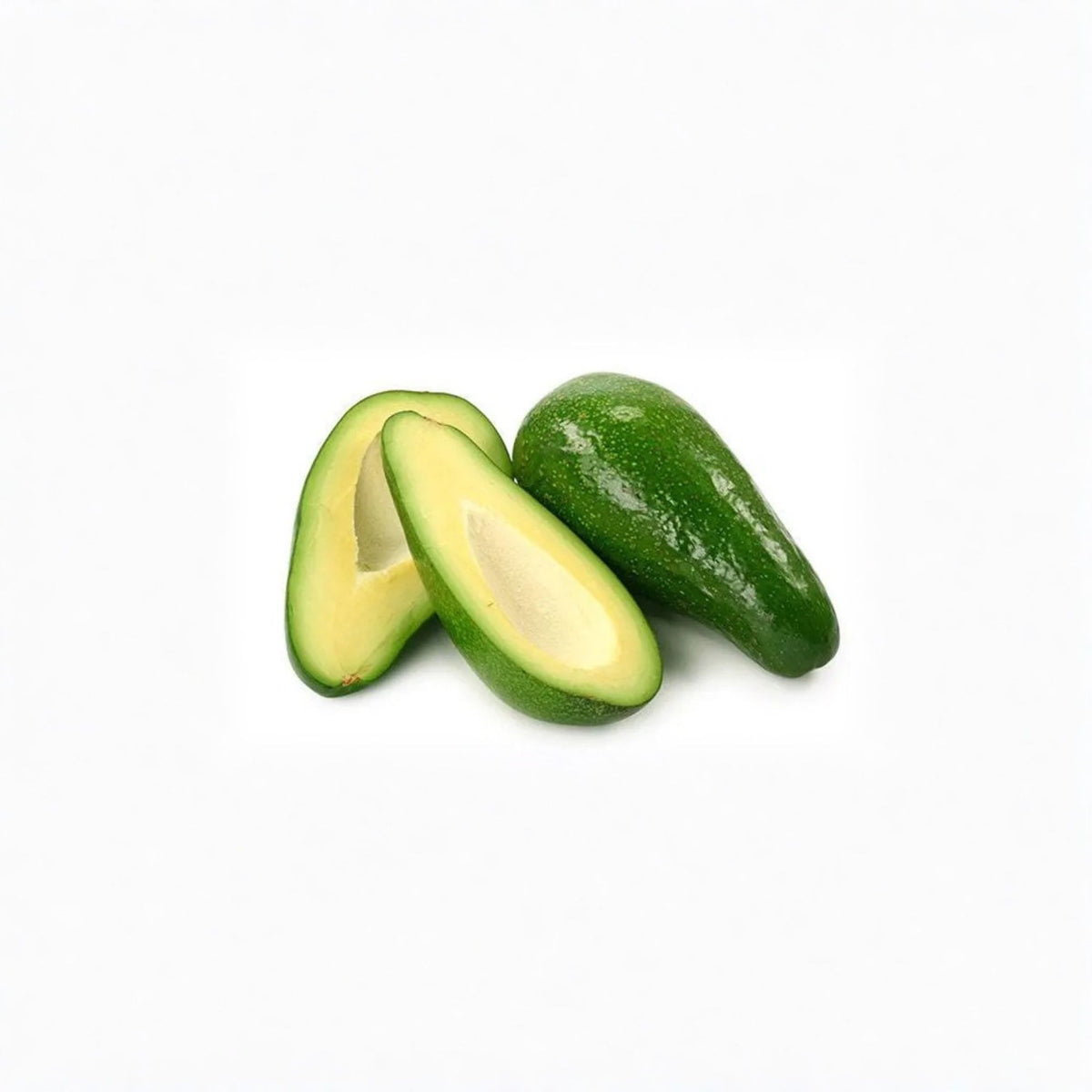 Fuerte Avocado Tree Live Plant, Grafted Avocado, 1 Foot Tall, 6 Inch Pot, Fuerte Avocado Variety, Fruit Tree