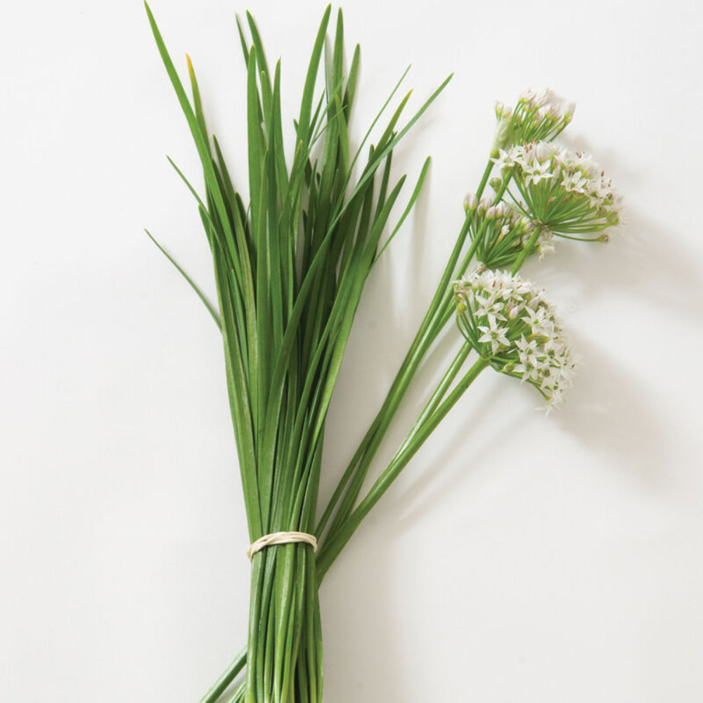 Flowering Chinese leek