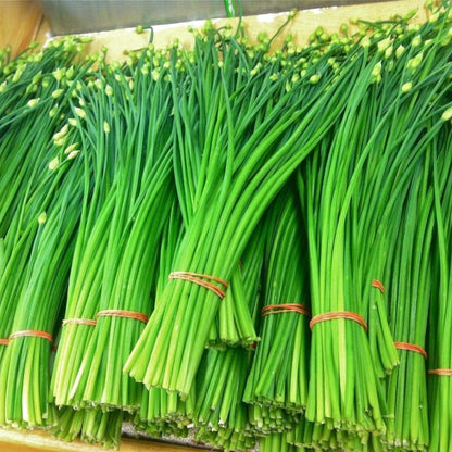 Flowering Chinese leek