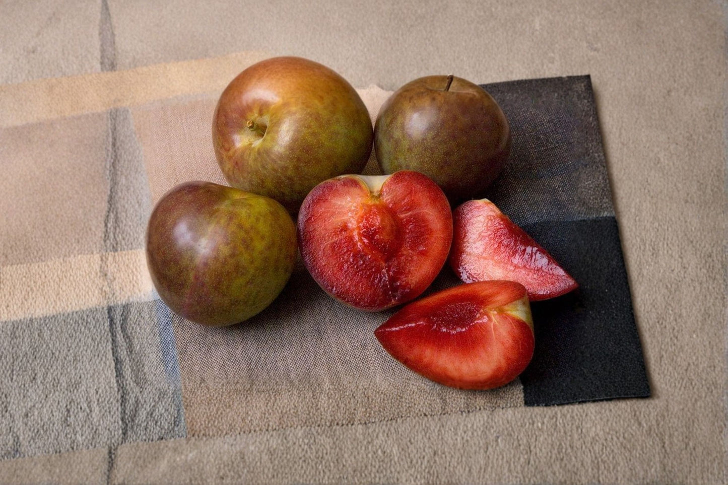 Flavor Supreme Pluot Tree Live Plant 4' Tall Grown from Cuttings Prunus Domestica x Prunus Armeniaca