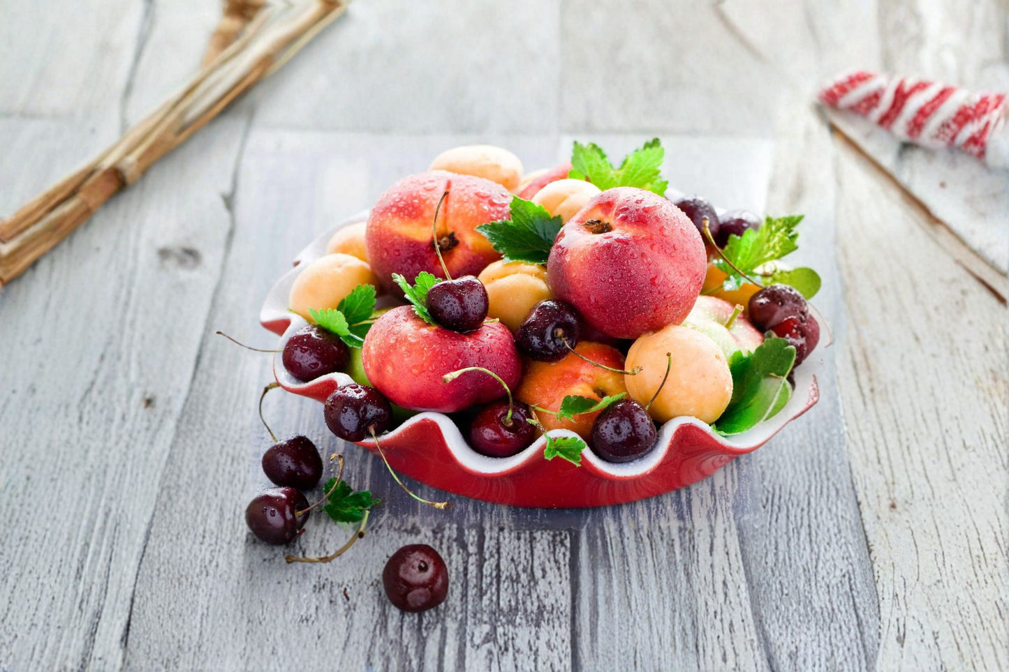 Assorted Fruit Cuttings Collection - 50+ Varieties including Peach, Apple, Cherry, Pear, Grape, Mulberry, and more!