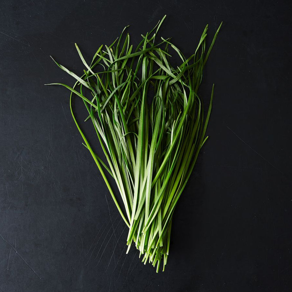 Garlic Chives