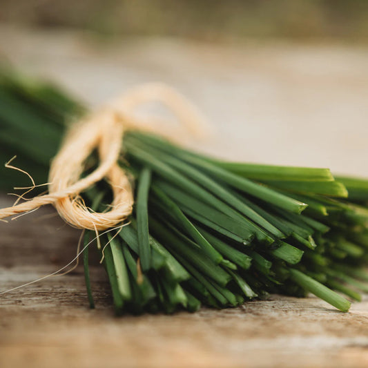 Garlic Chives