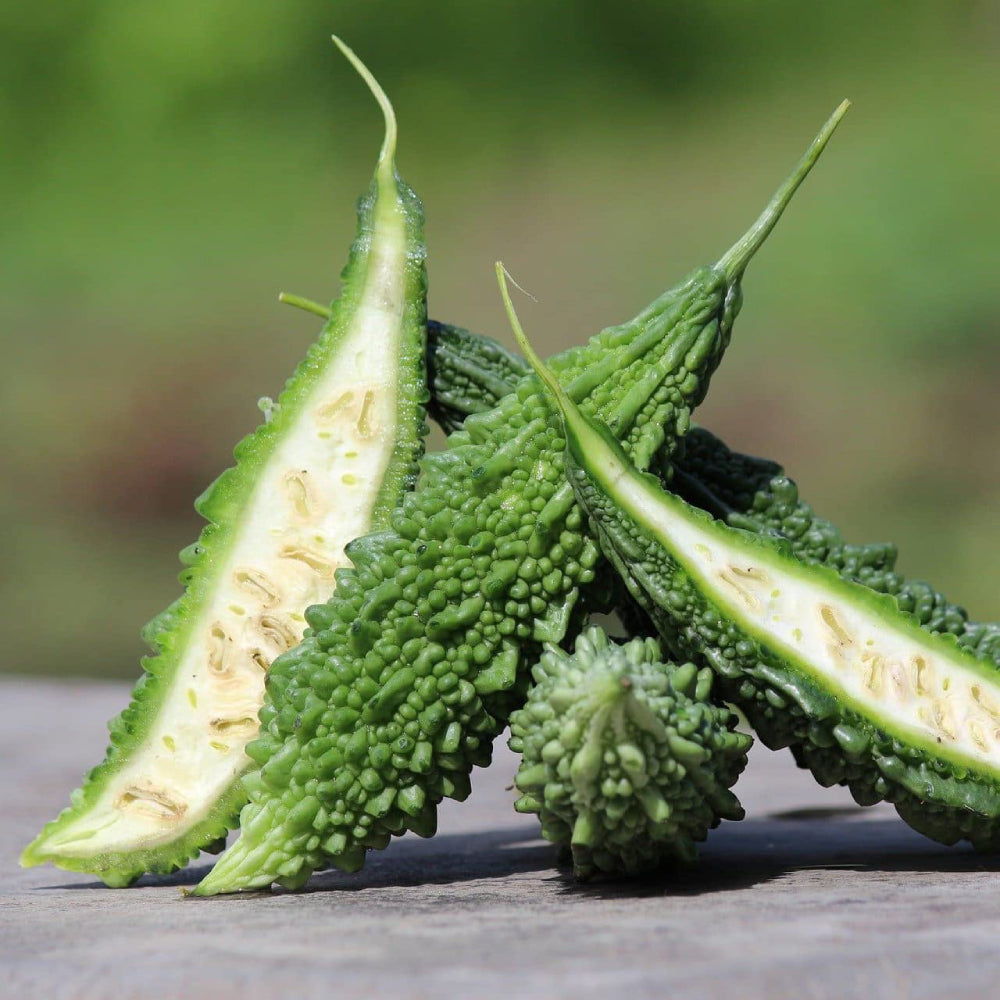 Gourd Bitter Melon Dark Jade, Hybrid