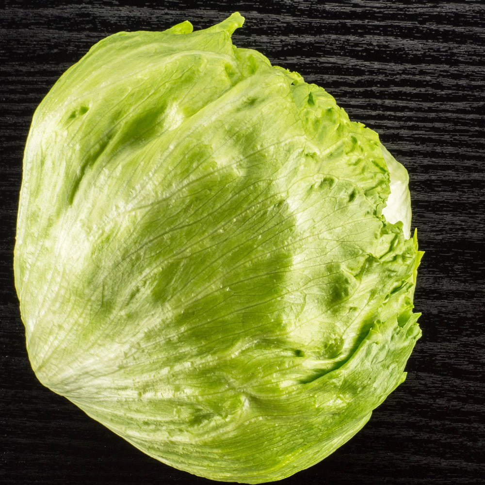 Lettuce Heading Iceberg