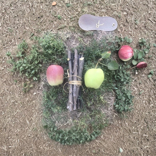 Apple Tree Cuttings – Fresh Organic Scions | 3 Pieces | Ideal for Grafting & Propagation | Garden Growing Starter