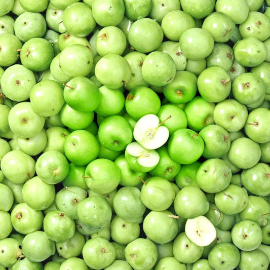 Granny Smith Apple Tree Scions – 5 Fresh Cuttings for Grafting | 6–10 Inches Long | From Mature Fruit Trees | Ideal for Home Orchard & Garden Propagation