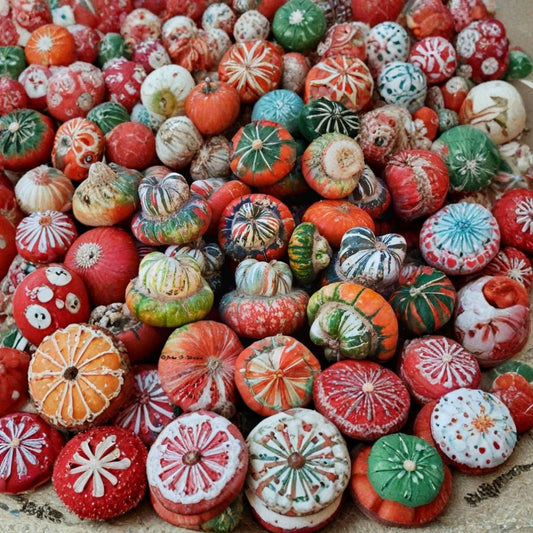 Turk’s Turban Squash – Cucurbita maxima Seeds | 60 Heirloom Seeds | Colorful Winter Squash for Cooking & Decorative Fall Harvest | Unique Turban Pumpkin