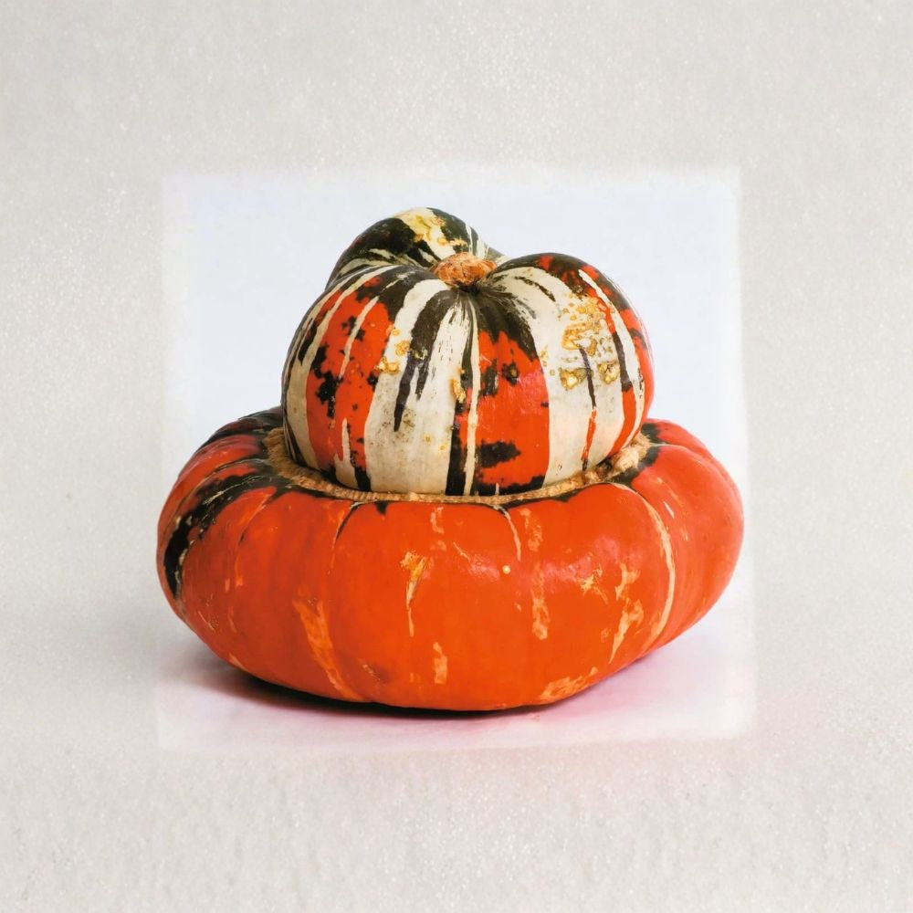 Turks Turban Squash – Cucurbita maxima Seeds | 10 Seeds | Heirloom Winter Squash | Colorful Decorative Pumpkin | Edible Garden Vegetable