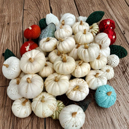 Casper White Pumpkin Seeds – Cucurbita pepo | Approx. 60 Seeds | Heirloom Open Pollinated Pumpkin | Unique White Pumpkin Variety | Easy Garden Grower